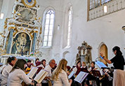 Zur Galerie - HIER KLICKEN!